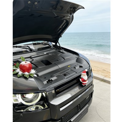 Kalup za zaščitni pokrov avtomobilskega motorja